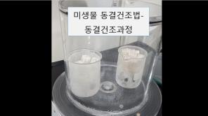 KACC 미생물동결건조법 동결건조과정 썸네일 이미지